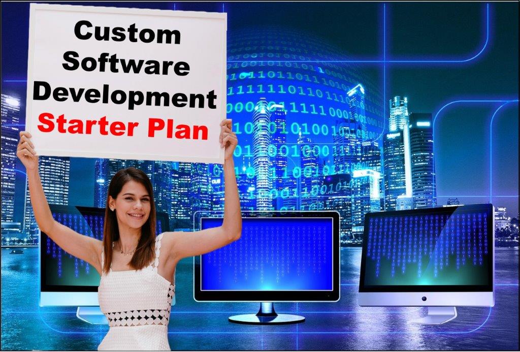 Custom Software Development in Carson City Nevada