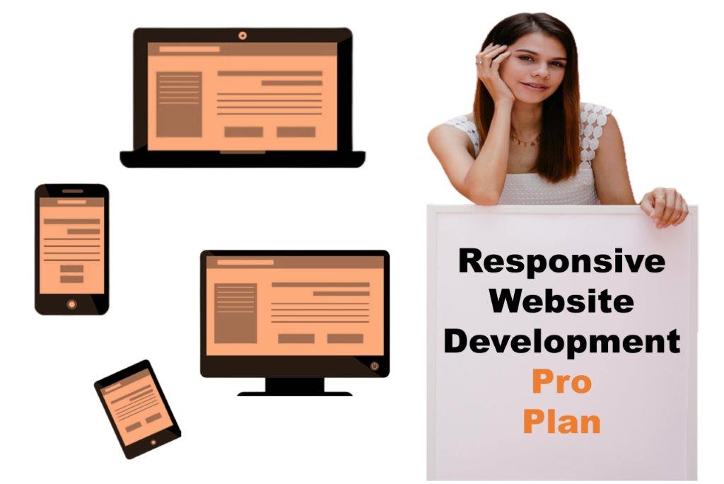 expert responsive website development agency in Carson City Nevada