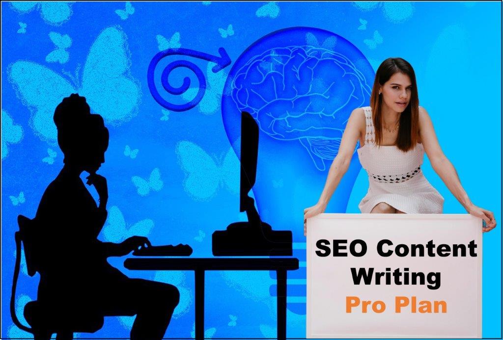 seo content writing agency Carson City Nevada