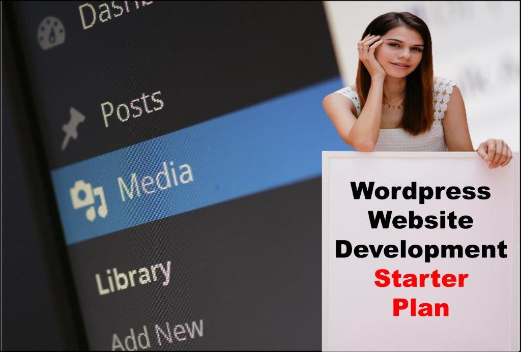 Wordpress Website Development in Carson City Nevada